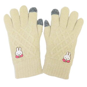 y12͖|Cg10{Iz~btB[  |CghJX}zΉP[u 񂪂 fBbNu[i X[vlbg hpi ObY G{LN^[ O