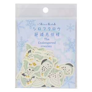 Shinzi Katoh VW JgE t[NV[ oiiy[p[t[NV[ Ŋ뜜 VtNE V[ DECOV[ fR[V ObY [։ Vl}RNV