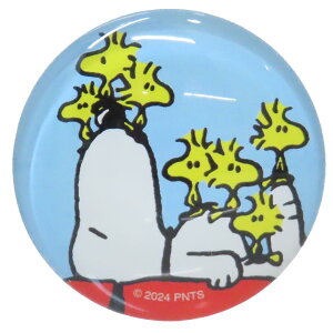 Xk[s[  KX}Olbg EbhXgbN etHC[ s[ibc vۍH| ① Lb` LN^[ ObY [։ Vl}RNV