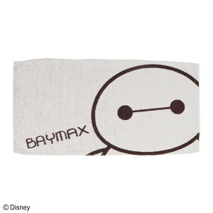 y|Cg10{ & N[|IzxC}bNX Jo[ ttB[Rbg ̂т̂уs[P[X X[vEF2 fBYj[ ^Ip v[g 킢 LN^[ ObY Vl