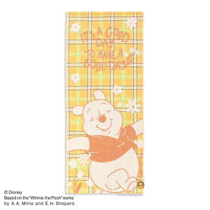 ܂̃v[ O^I ttB[RbgK[[pCQtFCX^I Happy Day CG[ fBYj[ ^Ip v[g 킢 LN^[ ObY [։ Vl