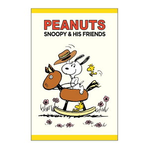 Xk[s[ ۂ M[|` 3Zbg ؔn s[ibc TX^[ N q  LN^[ ObY [։ Vl}RNV