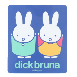 ~btB[ _CJbgV[ LN^[XebJ[ [ fBbNu[i X[vlbg _CJbgrj[XebJ[ fRV[ ϐ G{LN^[ ObY [