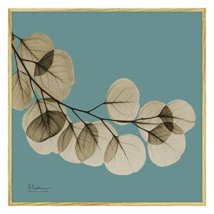 �y�|�C���g10�{ & �N�[�|���I�z�A���o�[�g �N�[�c�B�[�� �t�����[�A�[�g X RAY �L�����o�X�A�[�g ���[�t �u���[1 �X�N�G�AS XR-05804 ���[�p���[ �C���e���A �M�t�g �G�� ���{�� �O�b�Y ���i �V