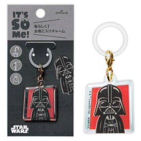 【最大1000円OFFクーポン！】スターウォーズ めじるしチャーム It'sSoMe チャーム ダースベイダー STAR WARS 日本ホールマーク 目印 傘マーカー ボトルマーカー キャラクター グッズ メール便可 シネマコレクション