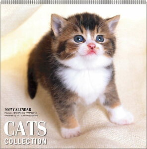 �y�ő�1000�~OFF�N�[�|���I�z�y�\��z 2027Calendar �Ǌ|���J�����_�[2027�N �C���o�� Cats Collection �R���ЕF �˂� ���킢�� �ʐ^ �C���e���A �������� �X�P�W���[�� �ߘa9�N�� APJ