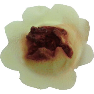 AEgbgꃁCNꏝp[cb,ʎ,Ԏ,,,l,,,,ANVfgbꃁCN,tFCXyCg,RXv,w,nEB,,