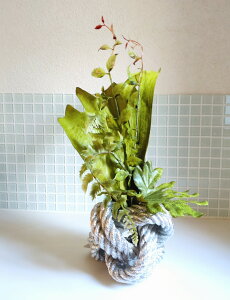 O[AWg@Mtg@fBXvCAWg@}eCXg@C@I@_@j[N@Vo[@[v@[v[N@֏