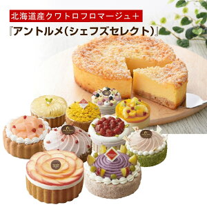 wkCYNgt}[W{AgiVFtYZNgjx TNhmA yz a Mtg mَq O  j wj 蕨 t[cP[L o[Xf[P