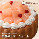 白桃のサマーショート サンクドノア ケーキ 12cm【アントルメセレクション】7月限定 誕生日 ギフト 洋菓子 食べ物 グ…