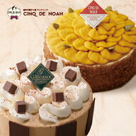 サンクドノア ケーキ ケーキセット 2個 12cm スイートパンプキンとマジカルフロマージュ【アントルメセレ…