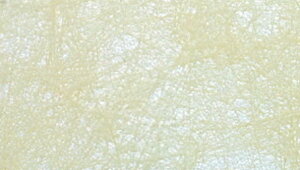 bsOy[p[ Nix[Wj 70cm×20M sDz  t[bsO Mtg bsOpi | Ԏ