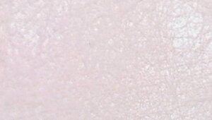 bsOy[p[ NisNj 70cm×20M sDz  t[bsO Mtg bsOpi | Ԏ