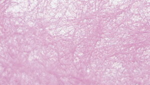 ybsOy[p[ NiYx[j 70cm×20Mz  t[bsO Mtg bsOpi | Ԏ sDz