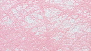 bsOy[p[ Nis[`j 70cm×20M sDz  t[bsO Mtg bsOpi | Ԏ