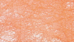 bsOy[p[ NiT[j 70cm×20M sDz  t[bsO Mtg bsOpi | Ԏ sDz