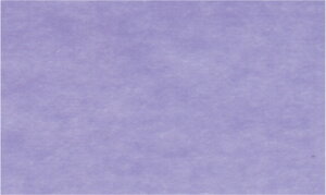 bNXy[p[ix_[j 500mm×750mm^50 t   Ci[bv t[bsO Mtg ɏՍ bsOpi  X Ԏ