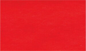 bNXy[p[ ibhj 500mm×750mm^20 t   bsO Ci[bv t[bsO Mtg ɏՍ bsOpi  X Ԏ [