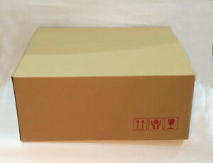yp10Zbgzt[[Xp _{[P[X 100TCY 17.5cm 1 NX}X[X [X ԃ[X z{bNX ԍ AWg ԗpzP[X i{