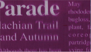 yj[XlK OPtB C 70cm×20MzbsOpi t[bsO y[p[  Ԏ Mtg