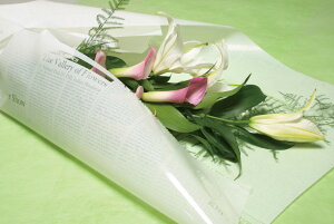 yj[XlK OPtB zCg 70cm×20MzbsOpi t[bsO y[p[  Ԏ Mtg