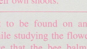 j[X OPtB sNy70cm×20Mz bsOpi t[bsO y[p[   Ԏ Mtg