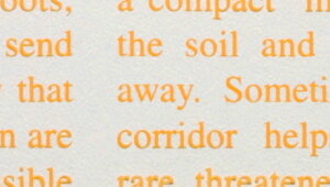 yj[X OPtB IW 70cm×20MzbsOpi t[bsO y[p[   Ԏ Mtg