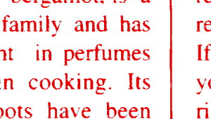 yj[X OPtB bh 70cm×20MzbsOpi t[bsO y[p[   Ԏ Mtg