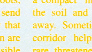 yj[X OPtB CG[ 70cm×20MzbsOpi t[bsO y[p[   Ԏ Mtg