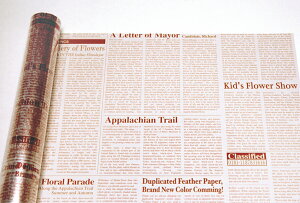 yj[X OPtB } 70cm×20MzbsOpi t[bsO y[p[   Ԏ Mtg