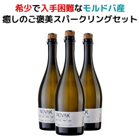 スパークリングワインセット スパークリングワイン 750ml 3本 モルドバ ワイン モルドバワイン 辛口スパークリング ピノノワール 白ワイン ハチミツ 辛口 ワインセット 自然派ワイン オーガニック ワイン ナチュールワイン ピノグリ 珍しいワイン ビオ ビオワイン