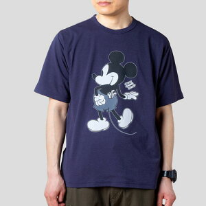 it narifuri NFMI-02 Disney Collection ANeBubVobN|PbgTVc S3F