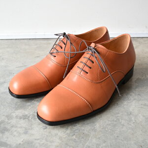 y|Cg10{zyTCYГz ARCOLLETTA PADRONE ARb^ph[l AP8769-2101-24A EX STRAIGHT TIP SHOES L CAMEL vC { rWlX Y@Mtg Xg[g`bv