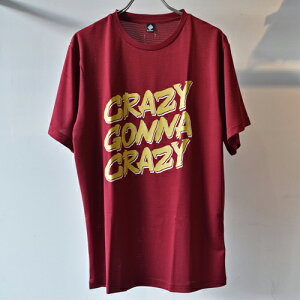 ELDORESO(Ghb\) CGC Tee(Burgundy) E1010823 o[KfB[