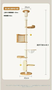 yVR×˂莮z\ Lbg^[ ܂Ƃt {[nEXtbȃXy[X L̉^ Ή ݌vbӐݒuɍœK Lp̗Vя