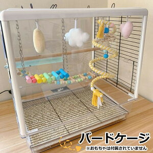 y47.5cmzo[hP[W  IE E CRp   P[W ybgP[W 47xs35x47.5cm ^ ^ Vя ߋ X^h ~܂ H ObY ZLZCC