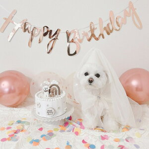 y4~9ȓɔ\zyS2Fzp Lp a EFfBOhX ^ ^ p[fB[Zbg `[ nbs[o[Xf[ Xq LL X  L ybg̒a