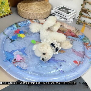 Ẵybgpp}bg LpWFxbh [UN[NbV MǑ΍/􂦂/JԂgp