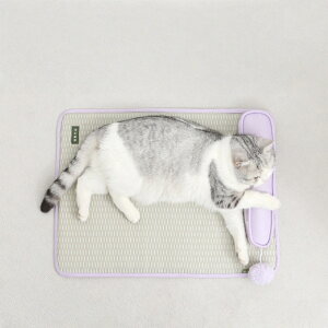 yċG/ybgpzLpN[}bg pЂpxbh WFNbV ΍ ybgpp}bg Lxbh p}bg ̂^Cv 􂦂