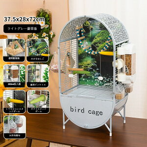 y^zVR؃obNplt IEECRP[W LXnEX^Cv DIYCAEg\ o[hP[W EA{EVCRizjAIJCRΉ