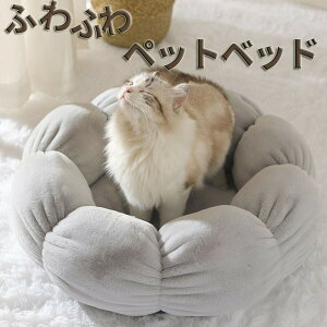 ybgxbh L xbh ~ Ԍ^xbh xbh Lxbh h[^ ӂӂ ی^ NbV h[icybgxbh 薰 Lp ^p  g ~ h ΍ 