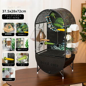 y^zVR؃obNplt IEECRP[W LXnEX^Cv DIYCAEg\ o[hP[W EA{EVCRizjAIJCRΉ