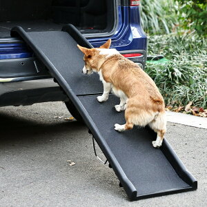 y܂肽݉\z^E^p ~߃ybgXebv ԏ~⏕X[v i~q