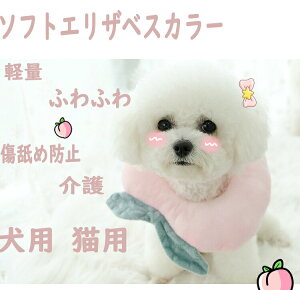 GUxXJ[ \tg  L y p ی  pEFA 畆a ܐ؂ 킢~h~  wXPA pEFA ӂӂ