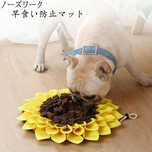 m[Y[N }bg Pѕz L  a}bg p@ѕz pXibt}bg koP}bg a}bg aB}bg a ^s XgX W͌ mߋ s 