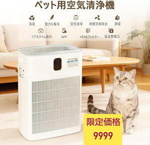  ybgpC@ ybg C@ L  ybg̖ ybg EL W L ԕ΍ PM2.5Ή  É APPΉ Av C@ ybgL Q rOΉ 