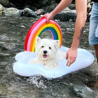 【小型犬用 安心設計】ペット用 浮き輪 浮かぶベッド 犬用フロート 水遊び プール/海 折りたたみ コンパ…
