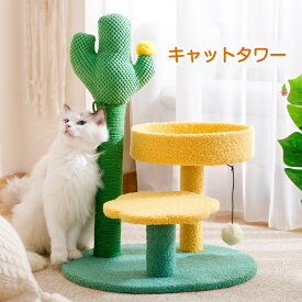キャットタワー サボテン型 爪とぎポール付き 麻縄巻き 猫用 運動不足解消 ストレス発散 猫の遊び場 猫ハウス付き 省スペース おしゃれ インテリア 耐摩耗 安定 長持ち ペット用品