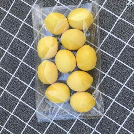 レモン 食品 サンプル リアル 見本 食玩 フェイク 装飾品 模擬 小道具 デコレーション フルーツ 果物 爽やか おもちゃ