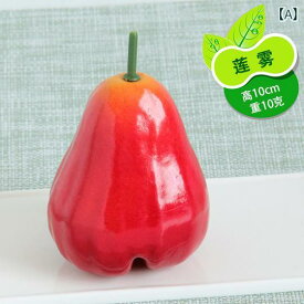 食品 サンプル リアル 見本 撮影 小道具 ディスプレイ 装飾品 フェイク 模擬 フルーツ 果物 アボカド キウイ
